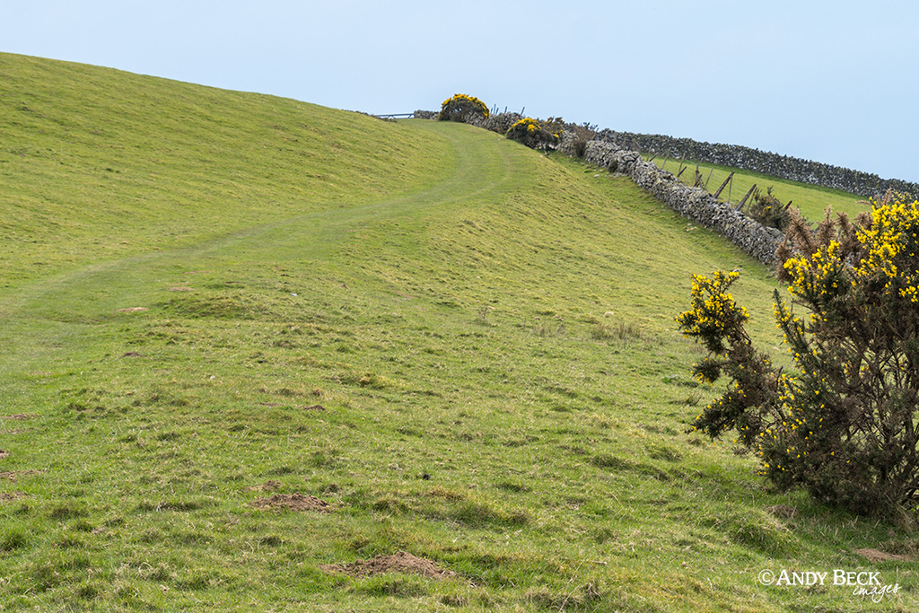 Watch Hill bridleway, Setmurthy Common, Outlying fell