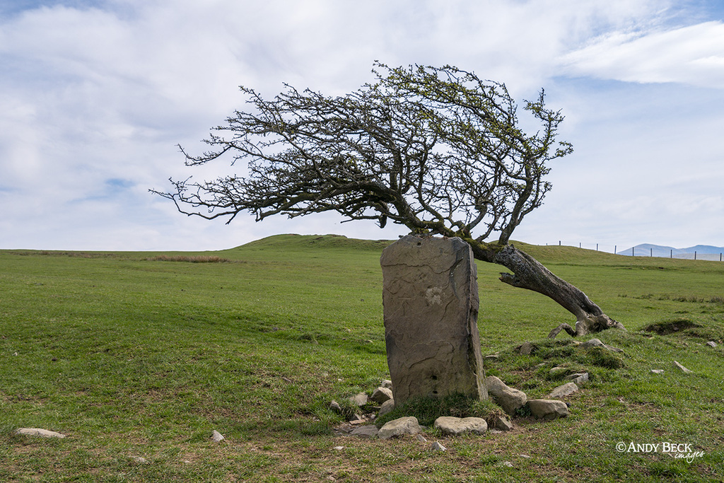 Watch Hill gatepost, Setmurthy Common, Outlying fell, Wainwright fell