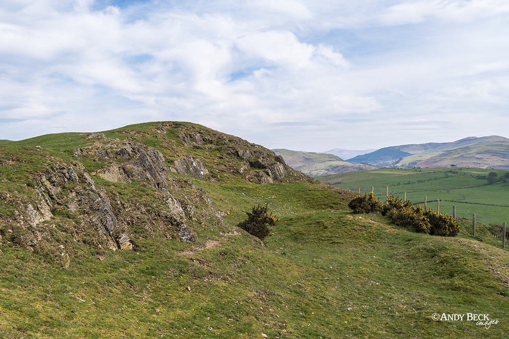 Watch Hill old quarry, Setmurthy Common, Outlying Fell