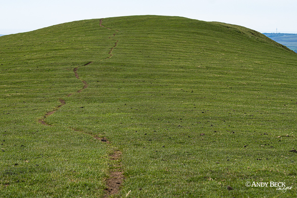 Watch hill ridge and furrow, Setmurthy Common, Outlying Fell, Cockermouth