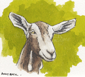 Goat, original small pen and watercolour sketch
