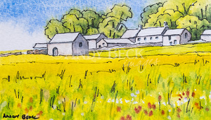 Hannah's Meadow, Teesdale sketch, Haymeadow and farm
