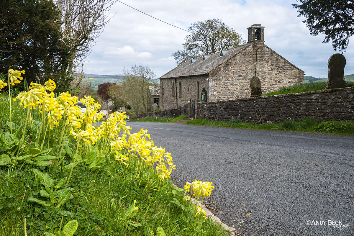 Laithkirk church and cowslips, Teesdale County Durham