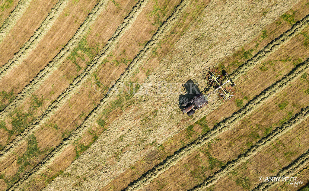 Haytime, turning the hay seen from above
