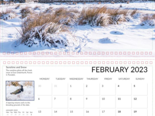 Teesdale Calendar 2023 Andy beck