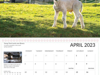 Teesdale calendar 2023 April, Andy Beck calendar