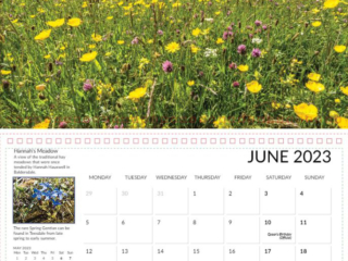 Teesdale calendar 2023, hannahs meadow
