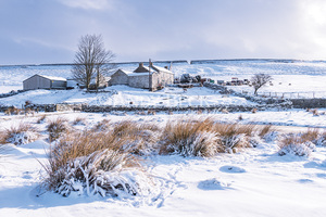 East Underhurth, Forest in Teesdale in winter.