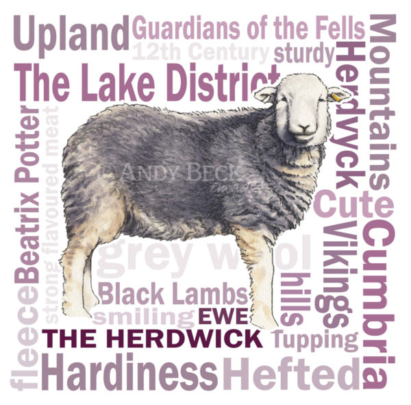 Herdwick sheep 6x6 Greeting card