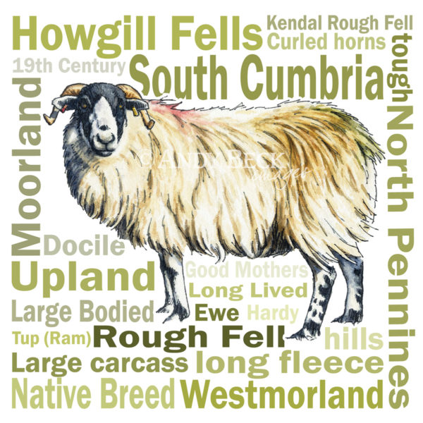 Rough Fell sheep 6x6 greeting Card