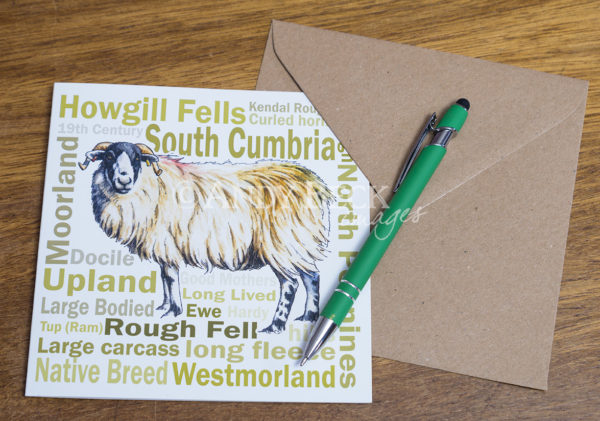 Rough Fell sheep card 6x6 with envelope