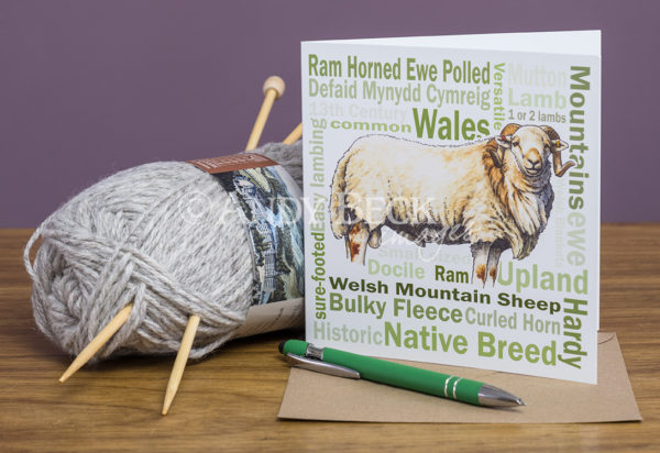 Welsh Mountain sheep greeting card 6x6