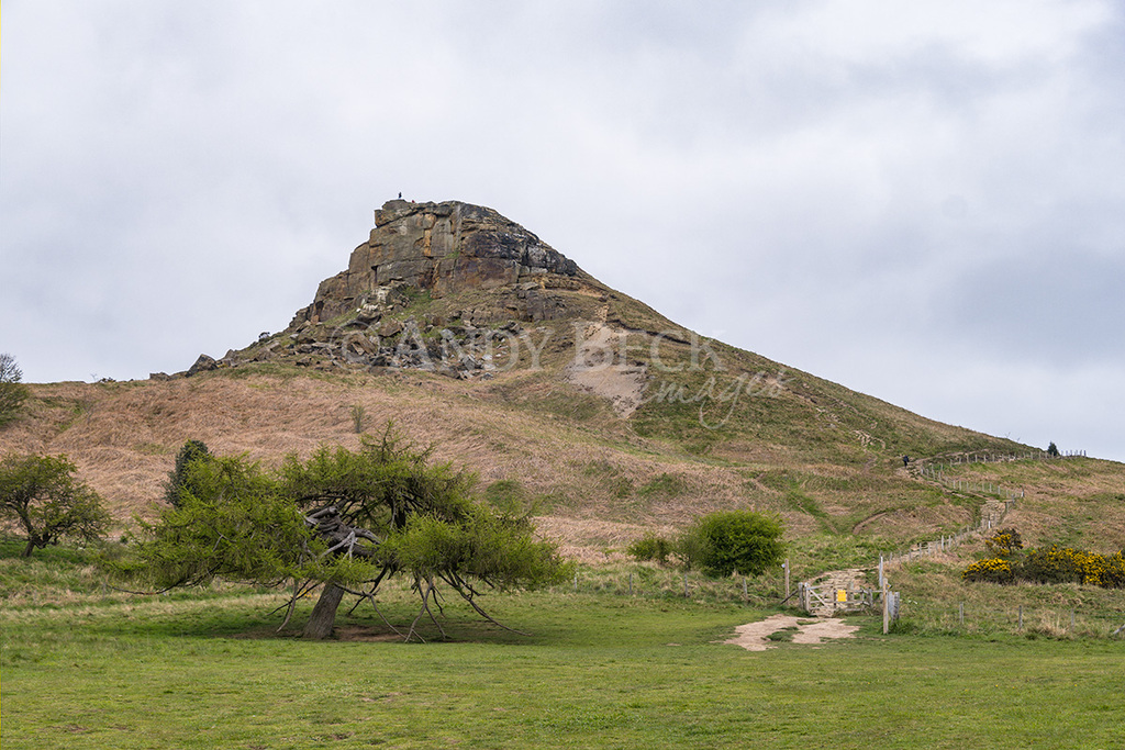 Roseberry Topping, profile image