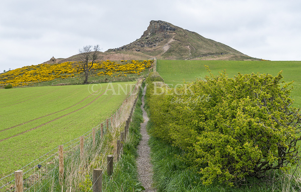 Roseberry Topping footpath