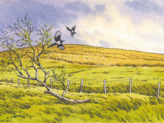 Cold Fell, Wainwright Outlying Fell Cold Fell original sketch Andy Beck painting the wainwrights series