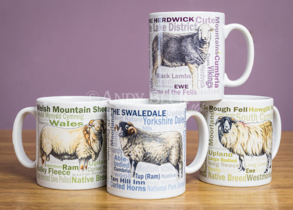 Sheep Breed mugs by Andy Beck Images