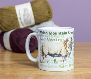 Welsh Mountain sheep Mug by Andy Beck Images