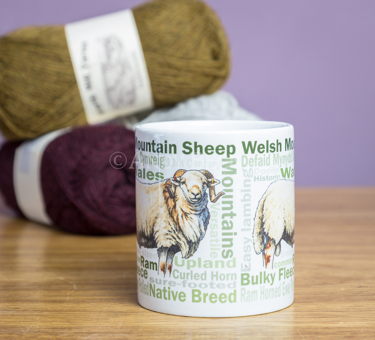 Welsh Mountain sheep Mug by Andy Beck Images
