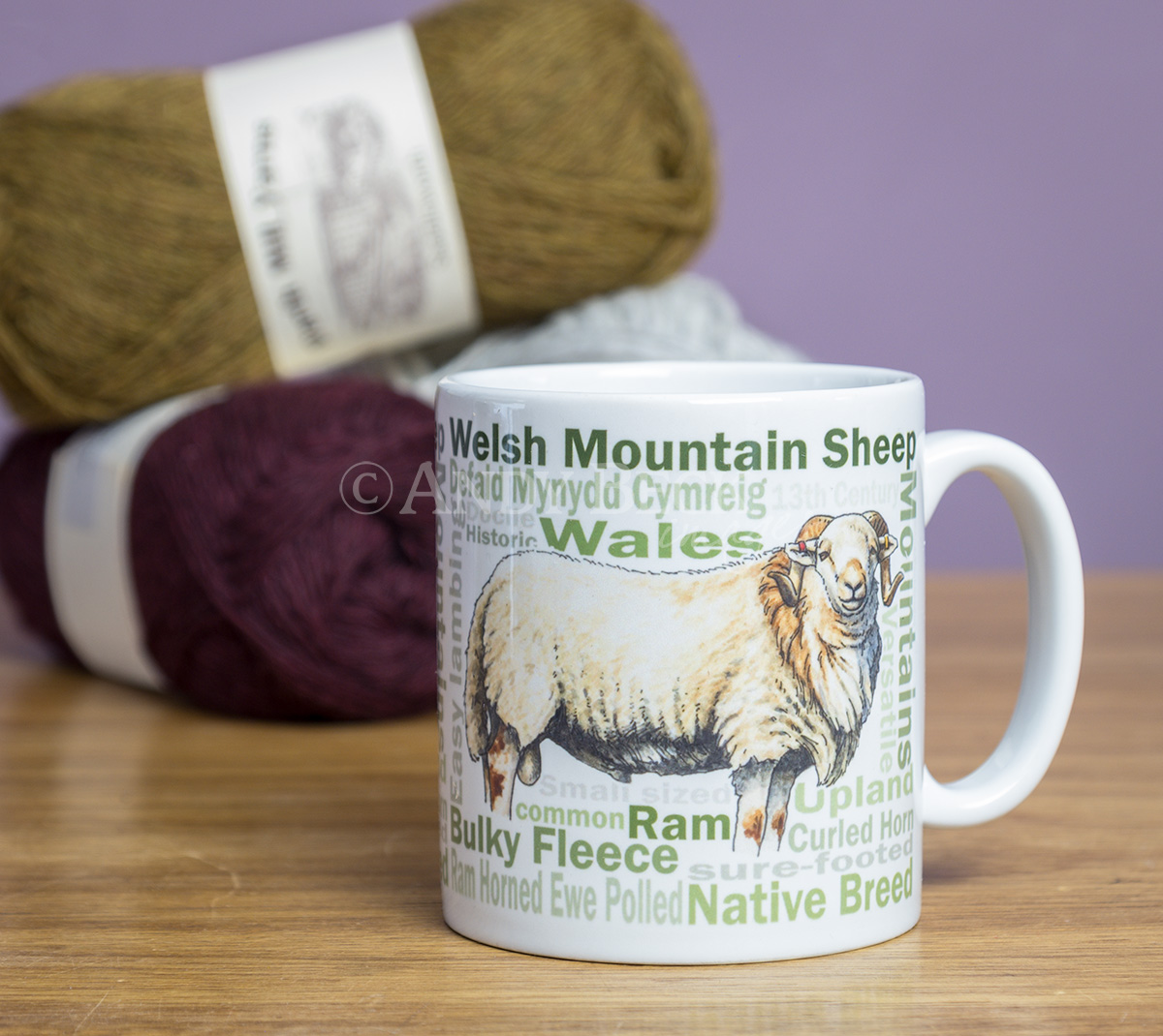 Welsh Mountain sheep Mug by Andy Beck Images