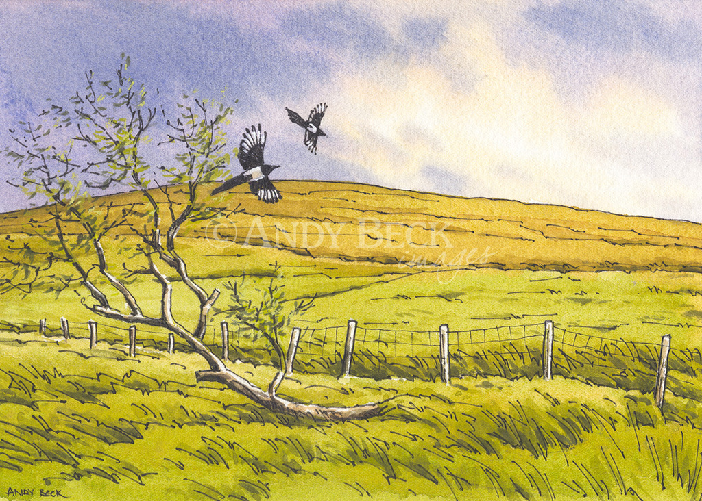 Cold Fell original sketch Cold Fell Original pen and watercolour sketch Andy Beck painting the wainwrights series