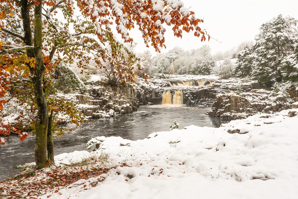 Low Force Snow, river Tees.