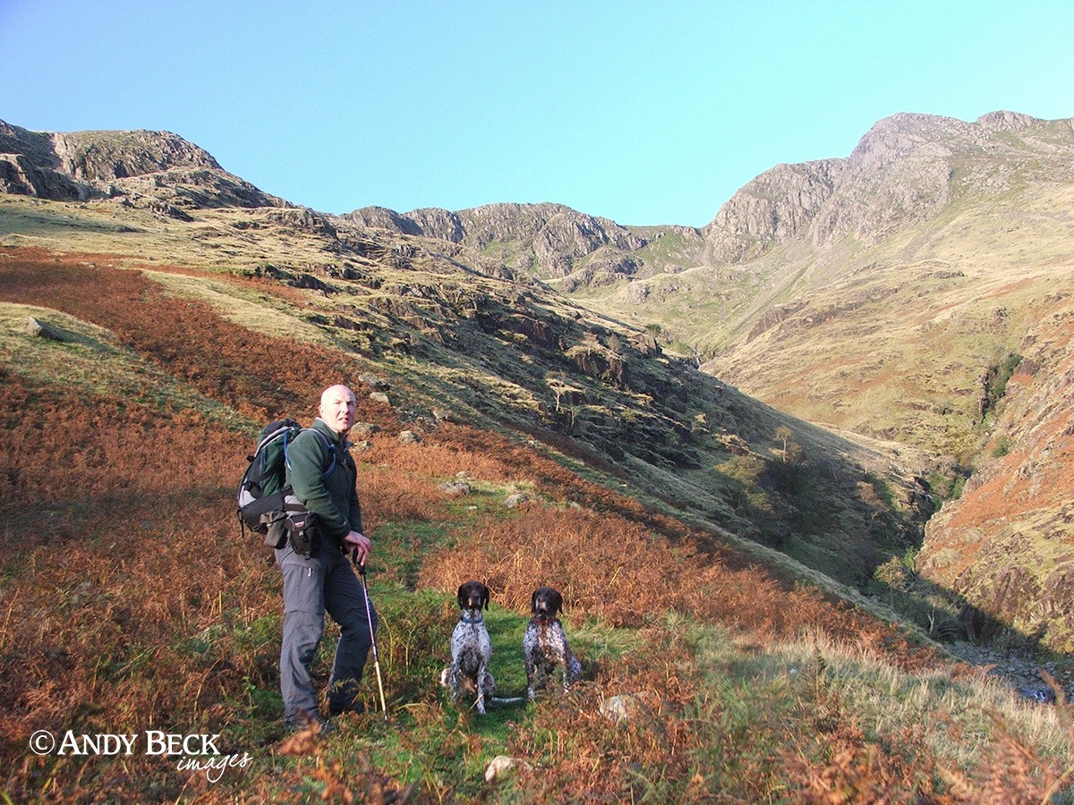 Above Crinkle Gill, Oxendale Beck, Great Langdale