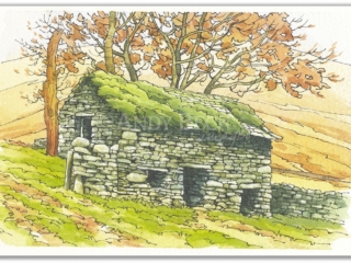 Hartsop Barn sketch, Hartsop, Patterdale Andy Beck painting the wainwrights series