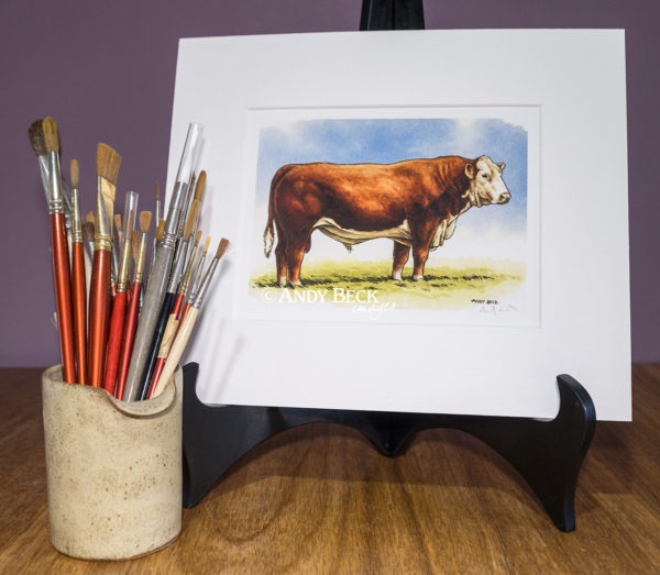 Hereford Bull print. Hereford Cattle painting
