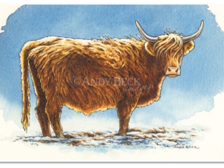 Highland cow pen and watercolour sketch. Highland Cow