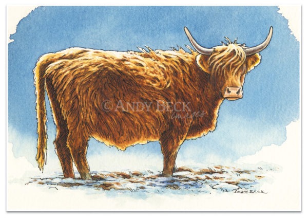 Highland cow pen and watercolour sketch. Highland Cow