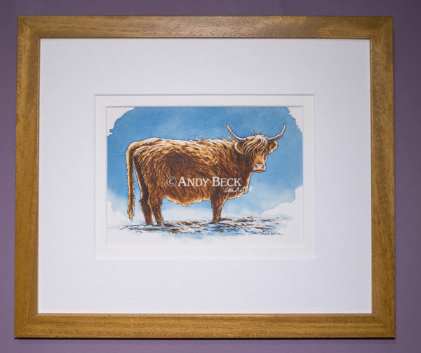 Highland cow framed original. Highland Cow