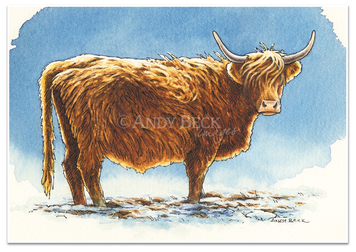 Highland cow pen and watercolour sketch. Highland Cow