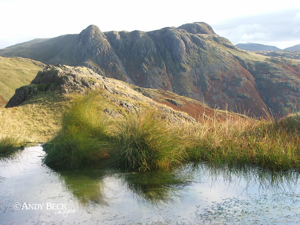 Langdale Pikes from Gladstone Knott. Great Langdale