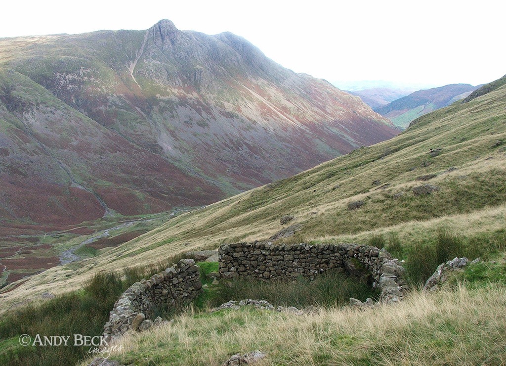 Langdale Pikes from the hidden sheep fold. Rossett Gill