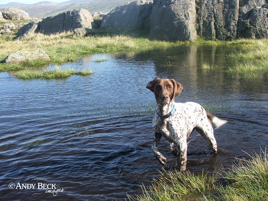 Near the Three Tarns, Great Langdale