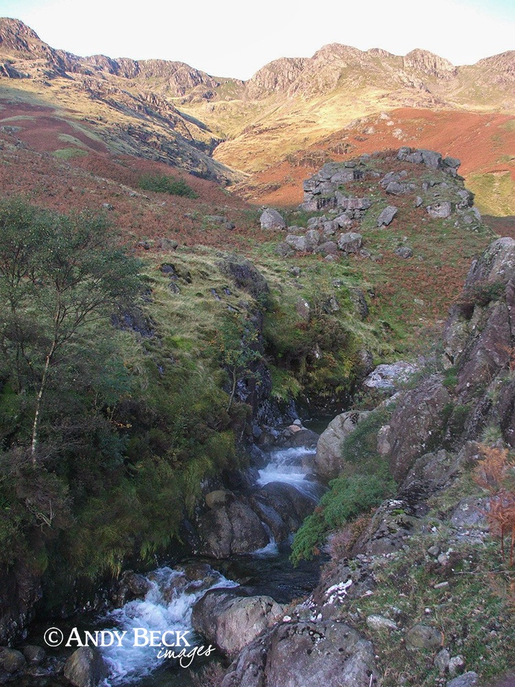 Oxendale Beck, Great Langdale with Crinkle Crags above