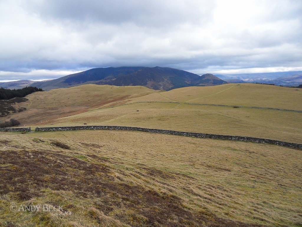 Sale Fell looking to the east. Wainwright Sale Fell