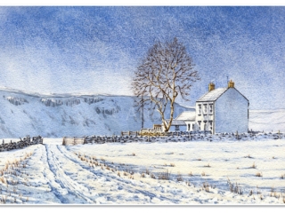 Forest In Teesdale watercolour by Andy Beck