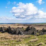 West Loups's ruined farmstead, Cothersone Moor, Teesdale