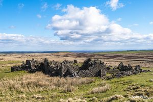 West Loups's ruined farmstead, Cothersone Moor, Teesdale