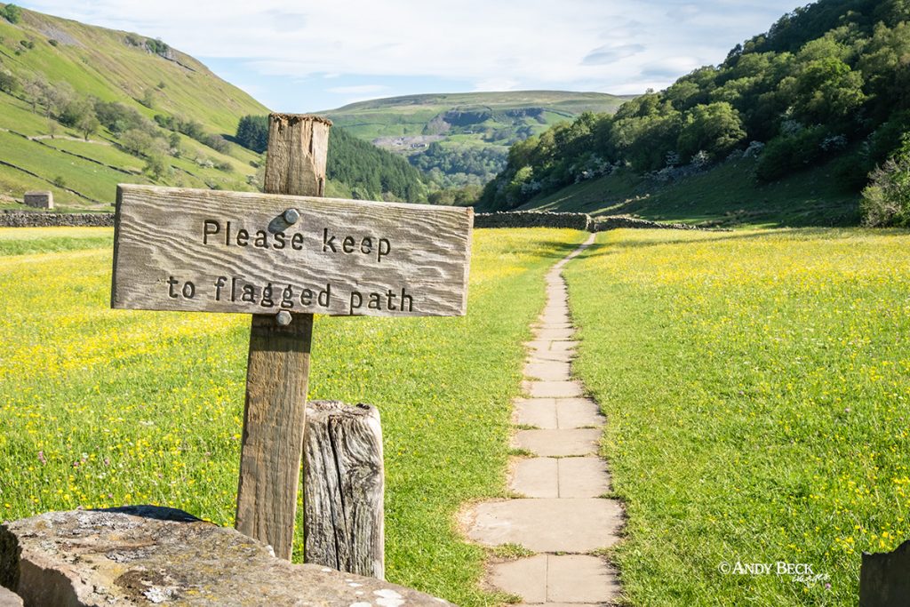 Footpath at Muker meadows, Swaledale, Yorkshire