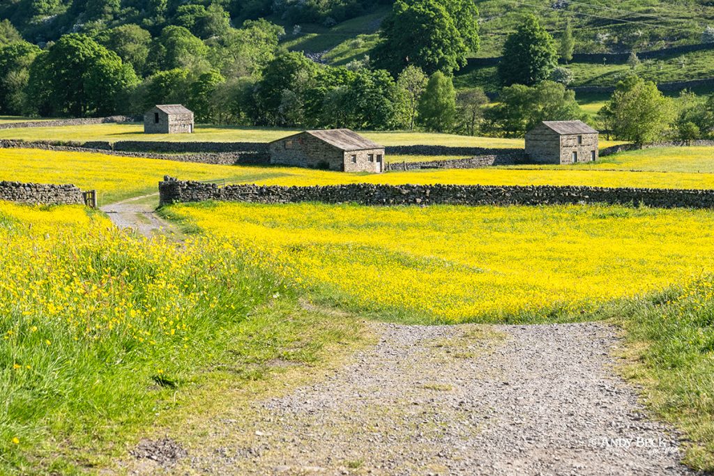 Meadows at Muker, Swaledale, Yorkshire Dales