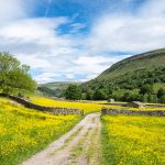 Muker hay meadows, Yorkshire Dales, Swaledale