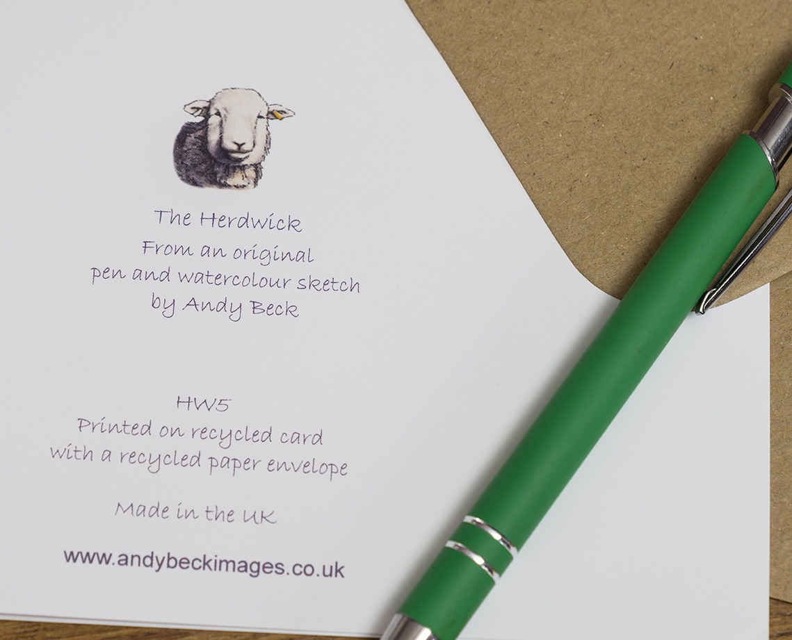 Herdwick sheep card back 5x7, Herdwick Greeting card by Andy Beck
