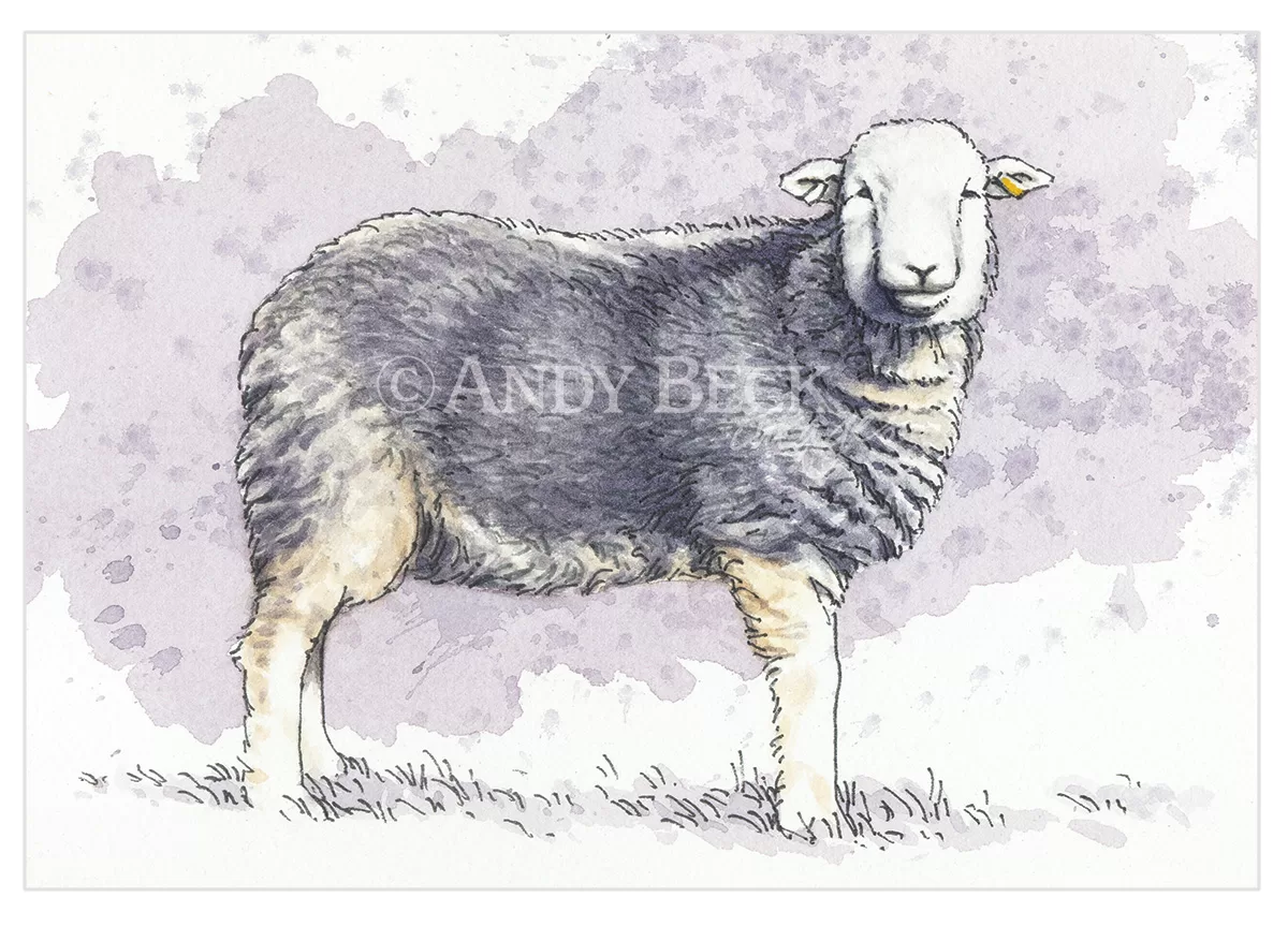 Herdwick Sheep Greeting Card 5x7 - Image 2