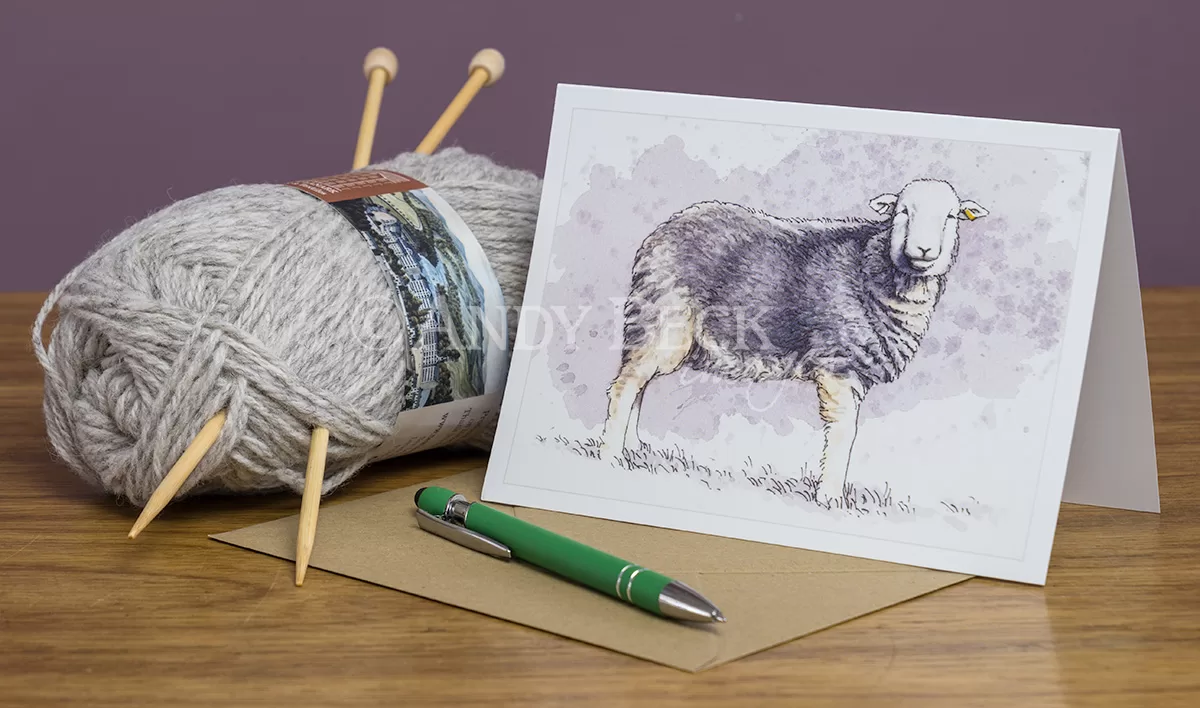 Herdwick sheep card back 5x7, Herdwick Greeting card by Andy Beck