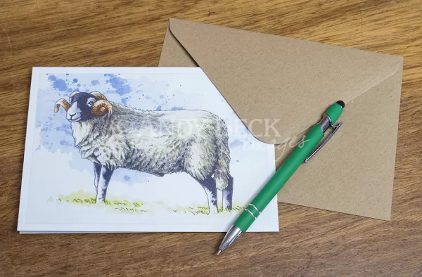 Swaledale sheep card back 5x7, Swaledale Greeting card by Andy Beck