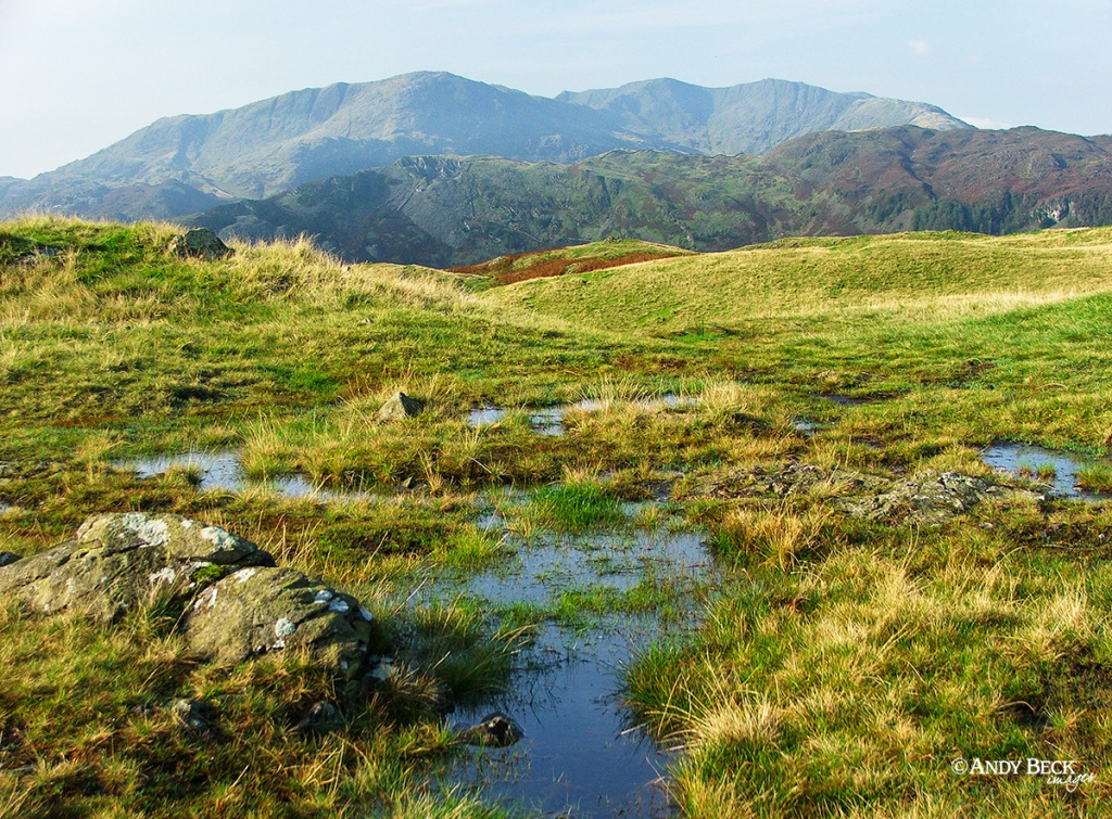 Coniston Fells from Brigstone Moss, Silver How, Central fells