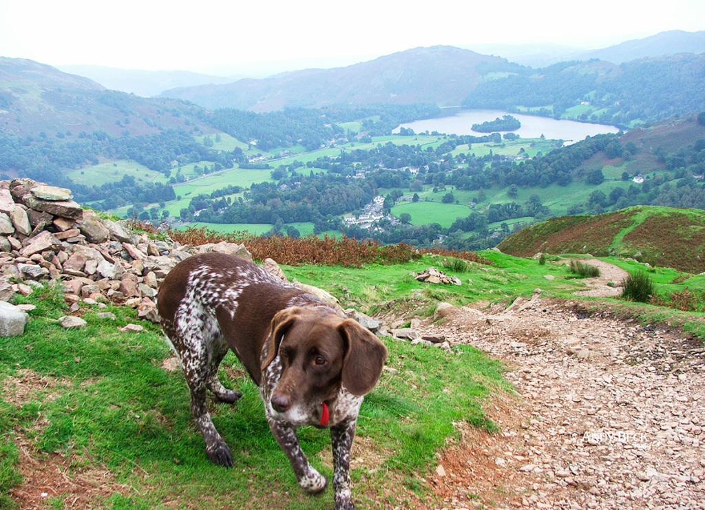 Grasmere from Helm Crag, Central Lake District, walk lake district