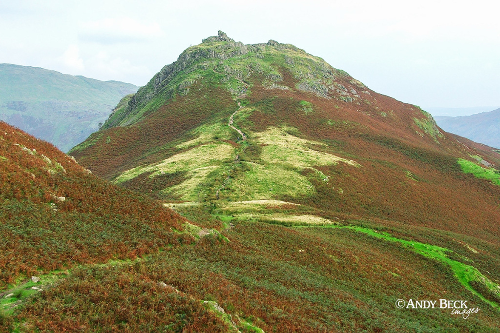 Helm Crag from near Gibson Knott, Central Fells, Wainwright walks